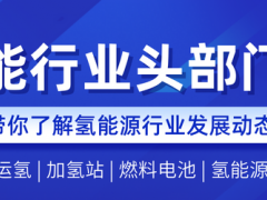 欧洲20余家大型制造商致信冯德莱恩，要求加大对华氢能设备“补贴”审查力度